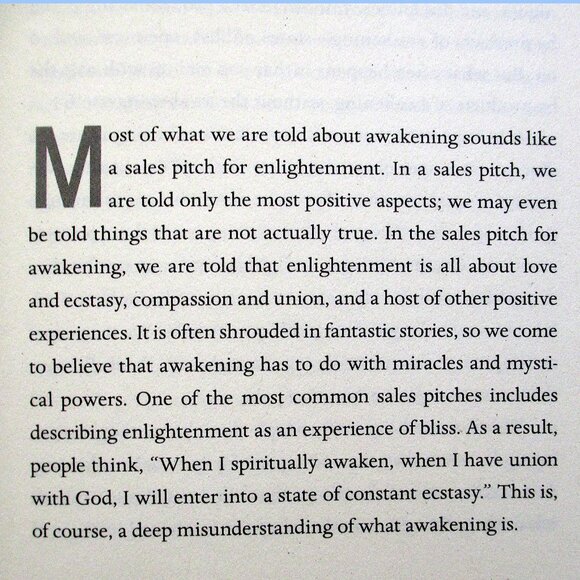 Book: The End of Your World by Adyashanti - Picture 3 of 12